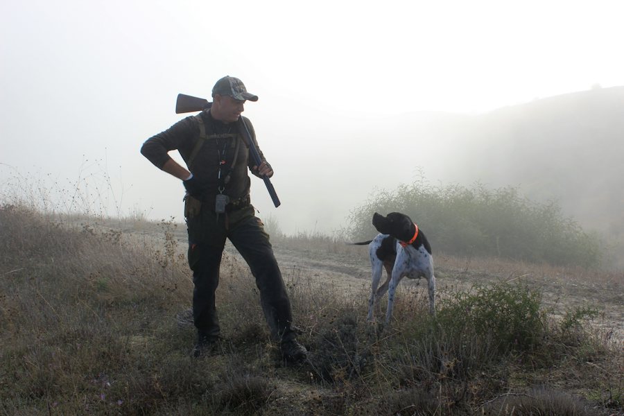 Sisli bir yamaçta av köpeğiyle duran avcı